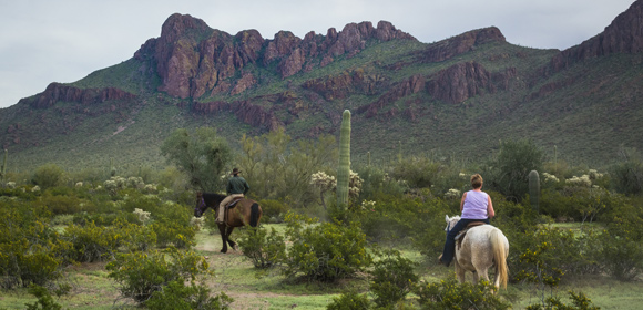 RANDOCHEVAL - Séjour équestre dans un Guest Ranch en Arizona