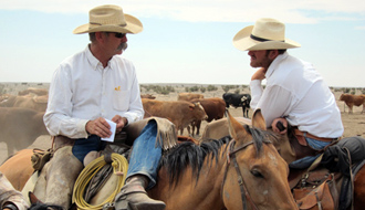 Conduite de troupeaux et convoyage dans le Colorado - un Voyage d'aventure Rando Cheval