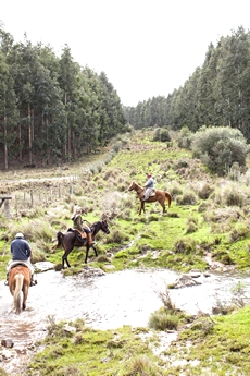 Aventure et Voyage à cheval en Uruguay - Randonnée équestre organisée par Randocheval