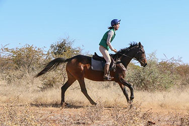 Safari cheval zimbabwe